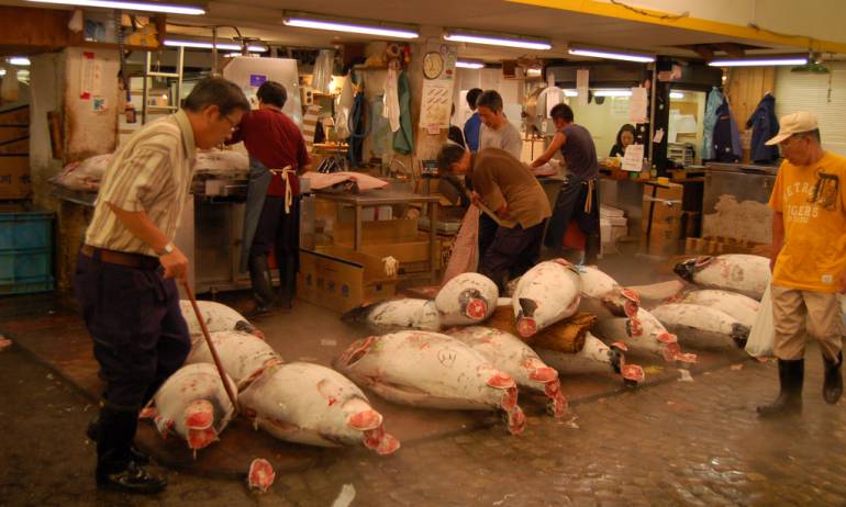 Tsukiji tuna auction will be moving to the new Toyosu Fish Market