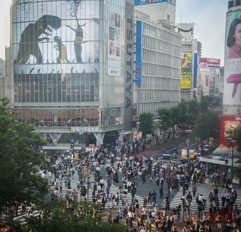 shibuya crossing from a high vantage point