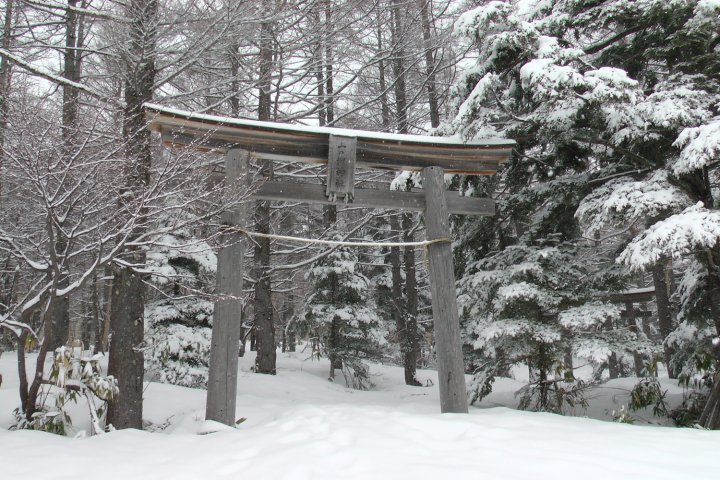 A shrine in Shiga Kogen. The area is one of the best places for snowboarding near Tokyo. 