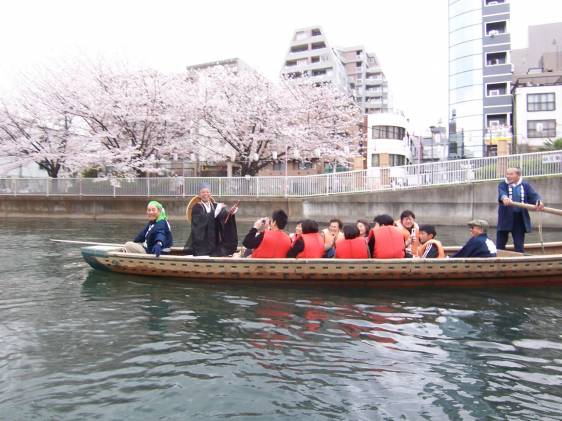 wasen boat edo fukagawa sakura cherry blossom