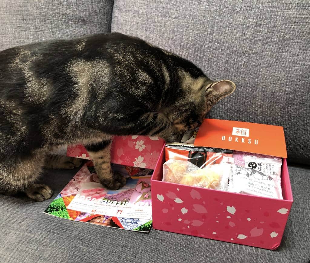 japanese snack box Bokksu with cat