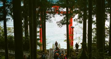 Hakone Shrine torii