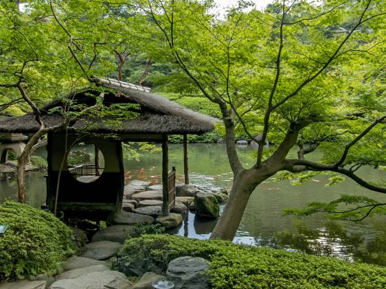 Zen garden in Tokyo