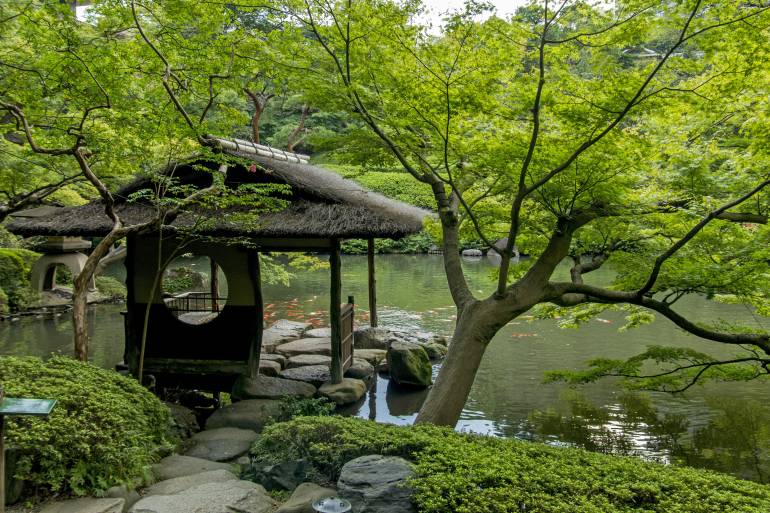Zen garden in Tokyo