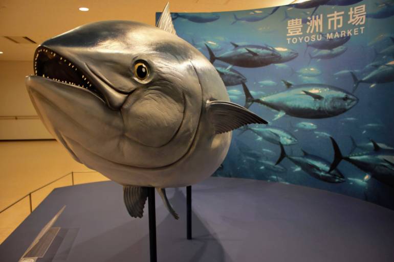 Toyosu tuna auction