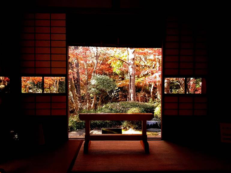 View from the Suginoma (cedar rooms)