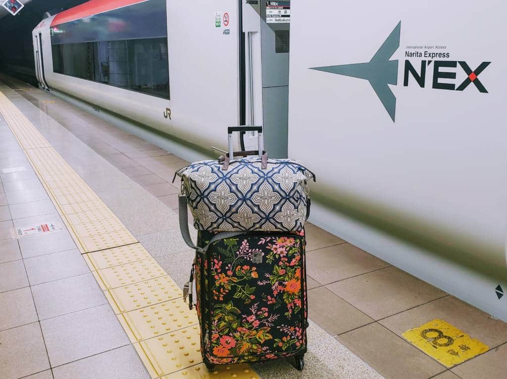 Luggage Narita Express - moving to tokyo