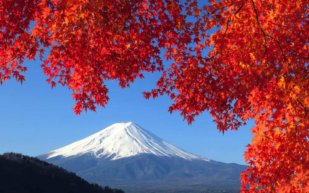 Mount Fuji framed by autumn leaves