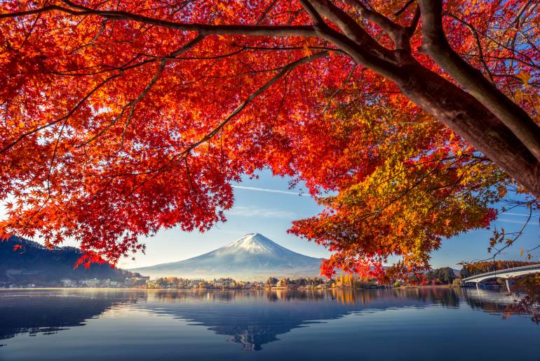 Autumnal view of mount fuji above lake Kawaguchiko
