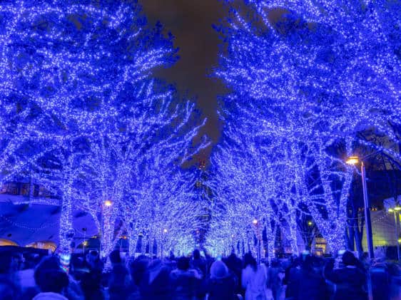 Tokyo winter guide - illumination festival