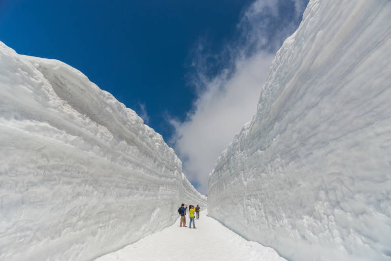 tateyama alpine route snow wall