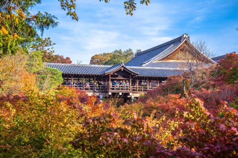 tofukuji temple surrounded by autumn foliage
