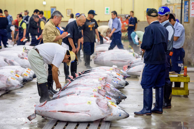 The Tsukiji tuna auction has moved to the new Toyosu Fish Market