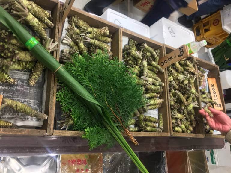 toyosu market wasabi