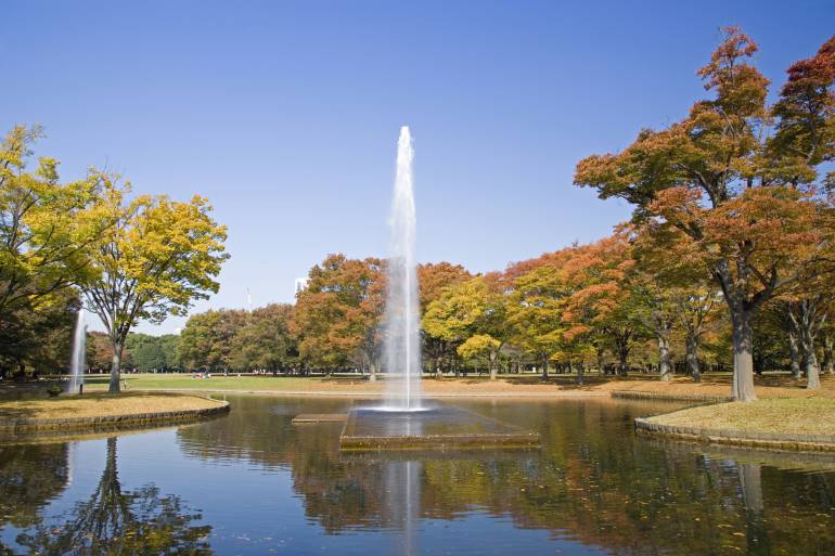 Autumn in the Yoyogi Park